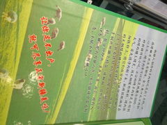 -帕米朵儿新疆小馆(仙鹤新天地广场店)