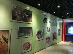 -上海昆虫博物馆