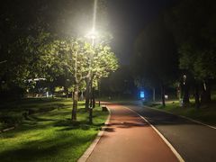 -牛岗山公园
