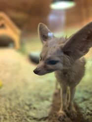 -酷嗒动物文化乐园(cutezoo西溪乐天城店)