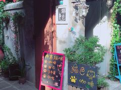 门面-猫色咖啡·猫咖