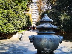 -灵谷景区