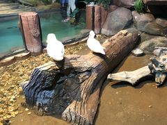 -苏州海洋馆