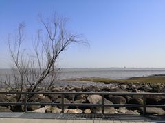 -上海吴淞炮台湾国家湿地公园