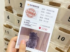 -屋虎猫馆(宝安大仟里店)