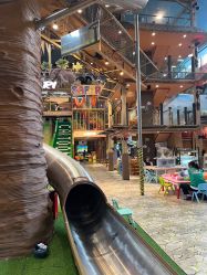 -卡通尼·Safari非洲探索乐园·生日会(金桥国际商业广场店)