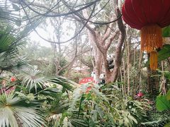 -海南热带野生动植物园