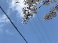 -自然谷恐龙园