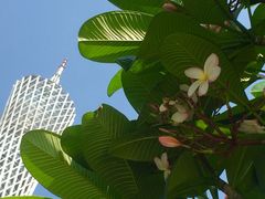 -赏点粤式点心(广州塔店)