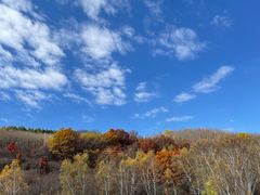 -塞罕坝国家级自然保护区