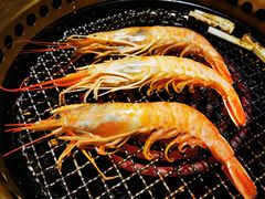 阿根廷红虾-江户烧肉(高德店)