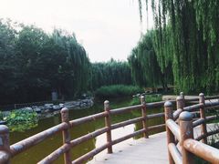 -丰台科技园生态主题公园