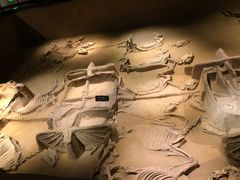 -洛阳周王城天子驾六博物馆