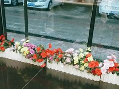 -大鸭梨(天通西苑店)