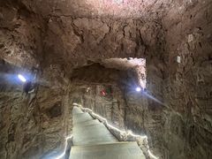 -中国西峡恐龙遗迹园