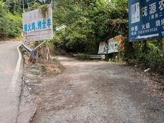 -胜景山庄柴火鸡