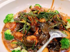 娃娃鱼-海景壹号大酒店(滨湖店)