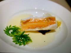 东星斑清蒸-8餐厅(新葡京酒店)