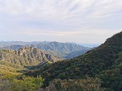 -大岭沟猕猴桃谷风景区