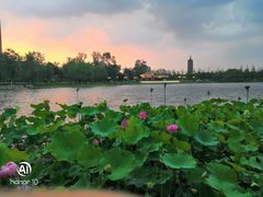 -西海子公园