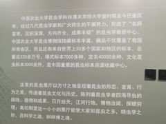 -中国农业大学(西校区)