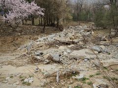 -北京鹫峰国家森林公园