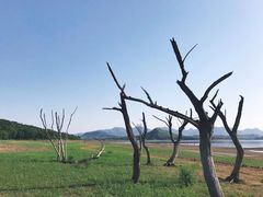 -横山水库