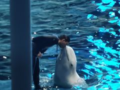 -福州罗源湾海洋世界旅游区