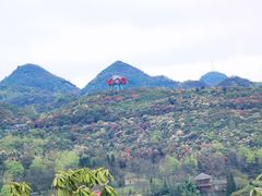 -贵州百里杜鹃风景名胜区