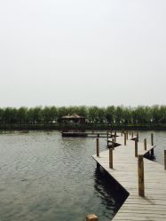 -水八仙生态园