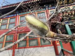 -北京颐和宾馆
