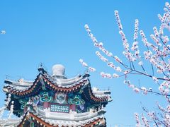 -颐和园