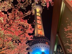 -东方明珠广播电视塔