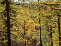 -苏木山森林公园