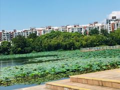 -新江湾城公园