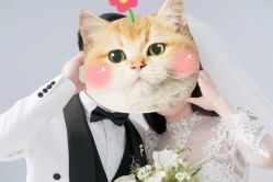 -青禾蒙娜丽莎婚纱摄影(武汉总店)
