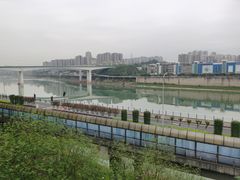 -李子坝梁山鸡(李子坝大鸡哥店)