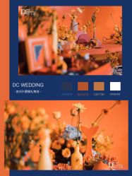 -DC大蔡婚礼策划(李公堤店)