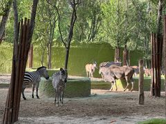 -北京野生动物园