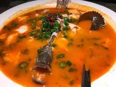 -川味堂·四川豆花(八卦岭店)