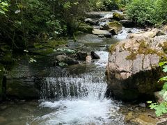 -鹿院坪生态旅游景区