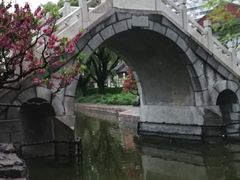 -团结湖公园
