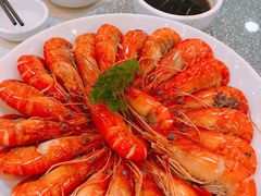 白灼罗氏虾-七叔家宴家常广西菜(明秀东路店)