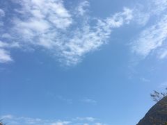 -宝莲禅寺