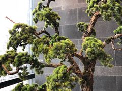 -悦秀·高级粤菜