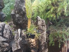 -四海烤鸭城