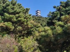 -北京十三陵国家森林公园蟒山景区