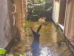 -邈墨茶馆(凤起路店)