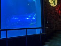 -太平洋海底世界