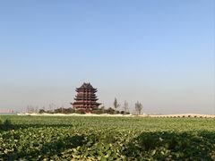 -阳澄湖半岛旅游度假区